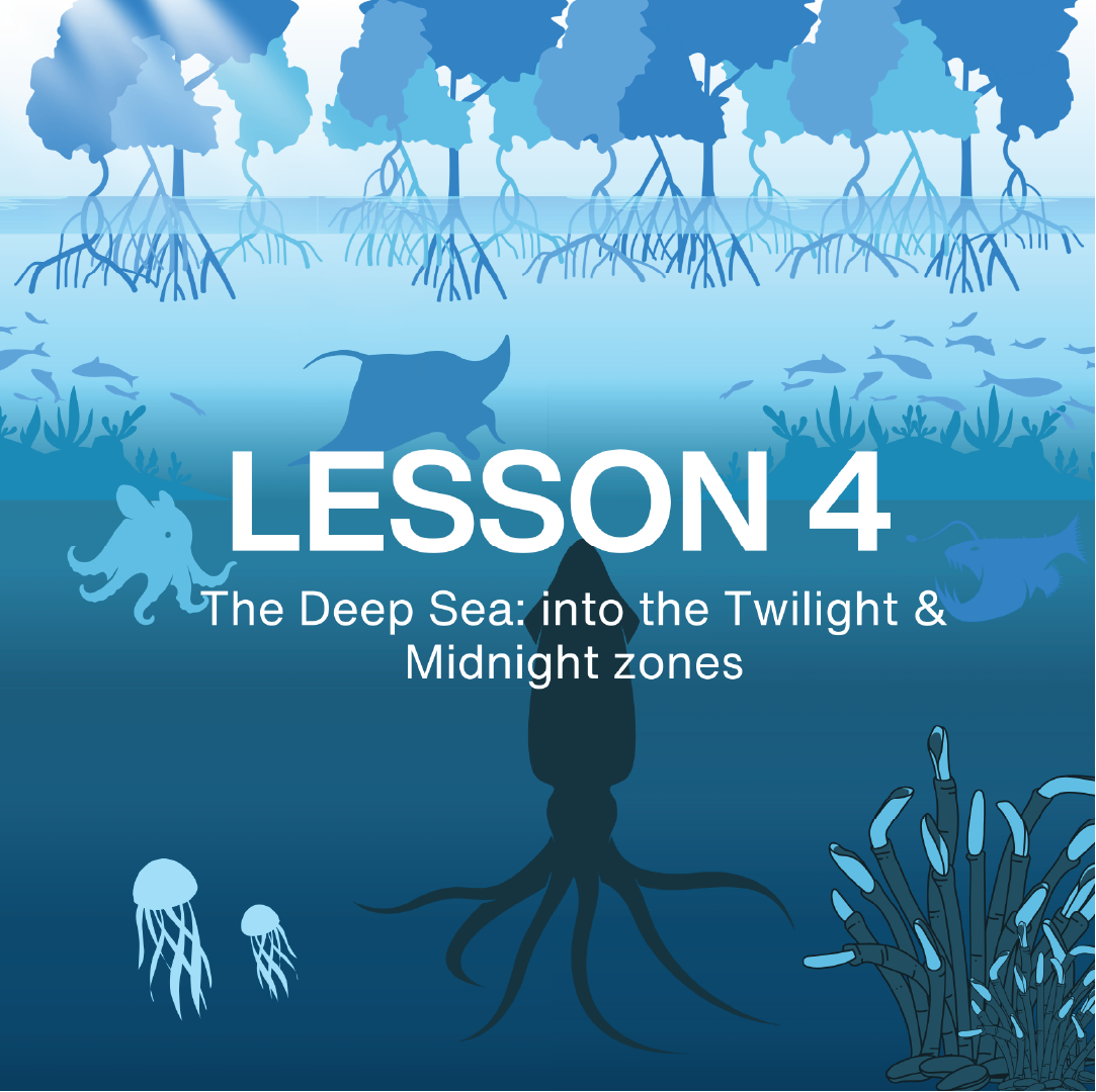 Underwater scene with marine life and text 'LESSON 4 The Deep Sea: into the Twilight & Midnight zones' on a blue background from NAUTRA's BE THE WAVE Educational Platform. 