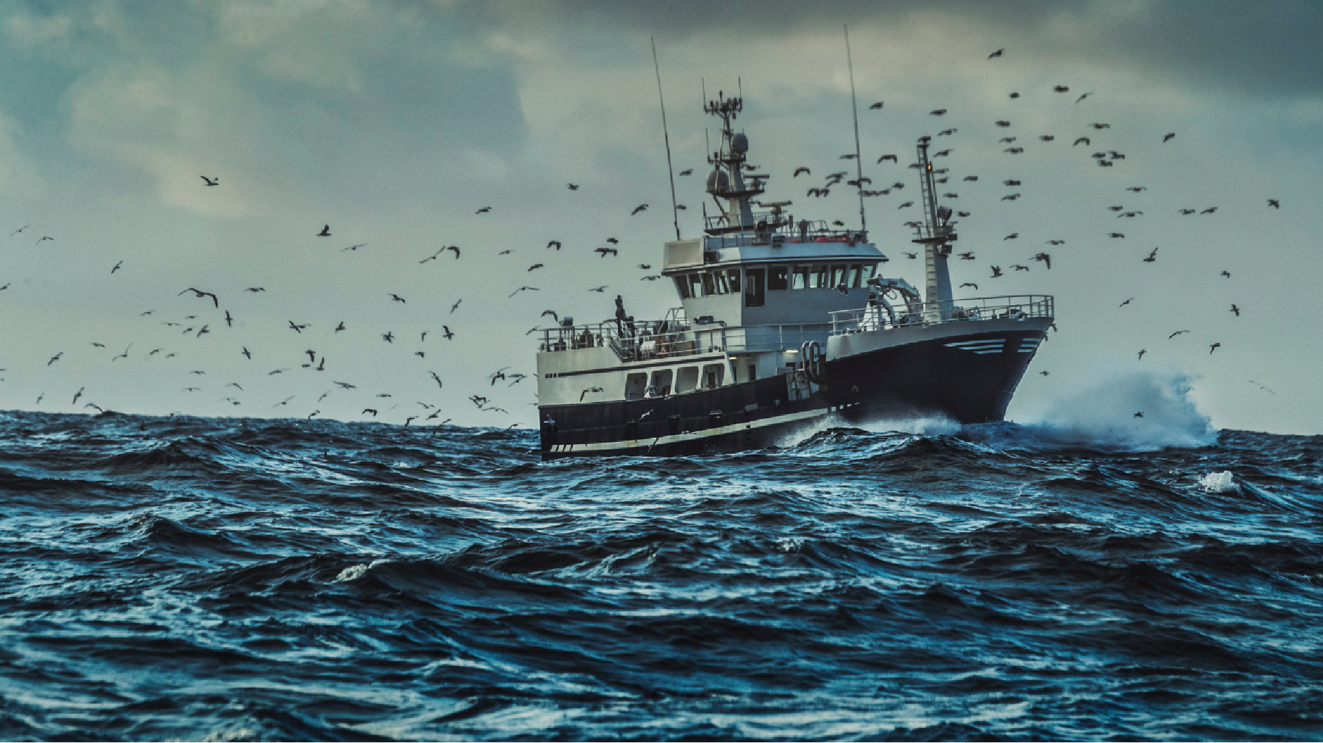 Fishing boat in rough ocean with birds around