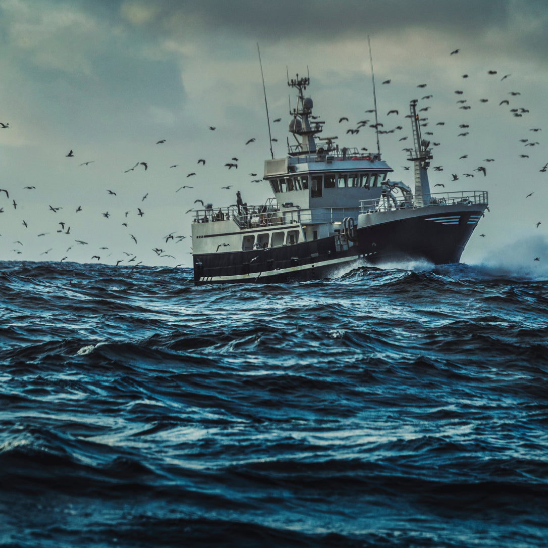 Boat on choppy waters with birds flying around, under a cloudy sky