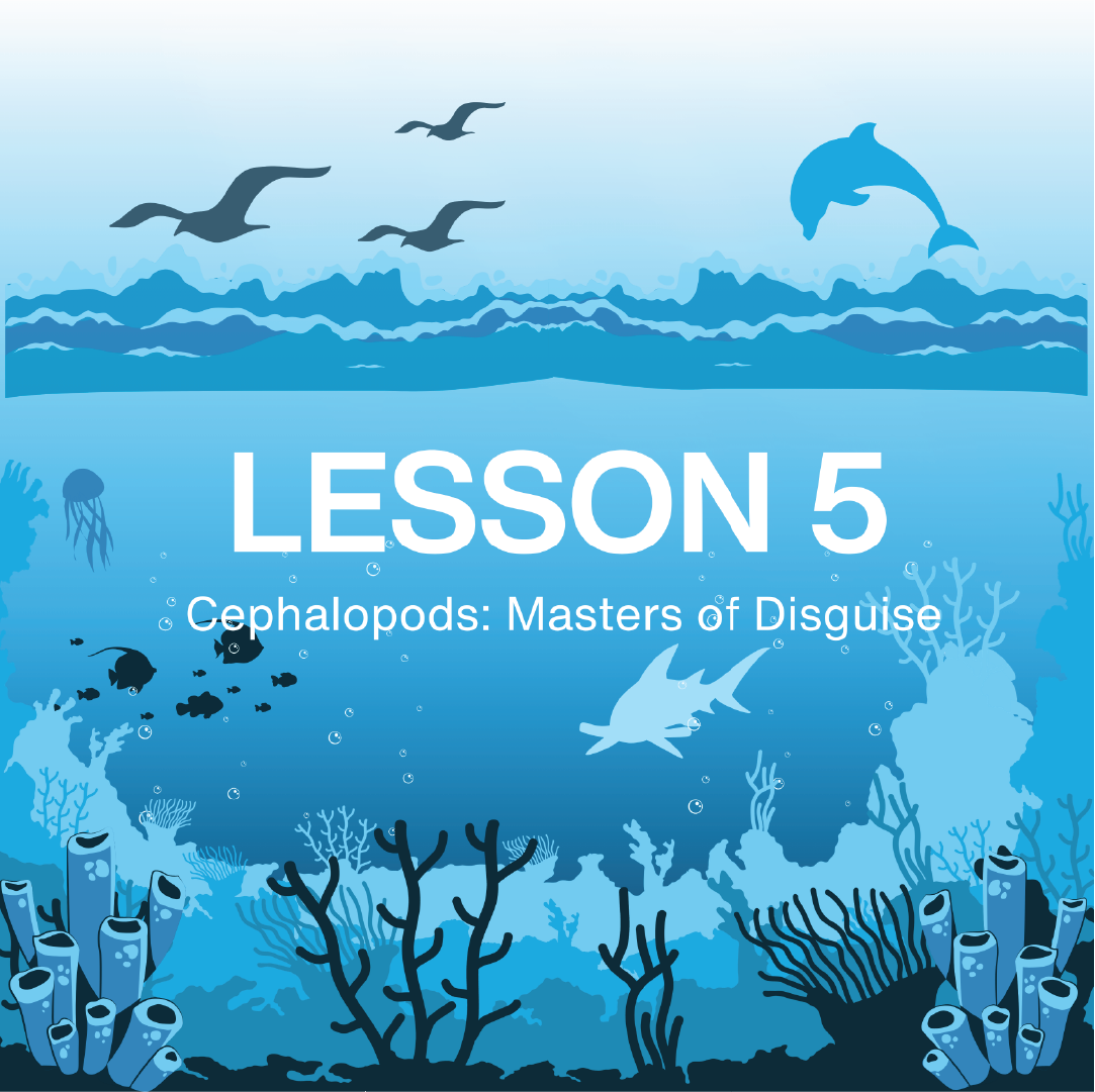Underwater scene with marine life and text 'LESSON 5 Cephalopods: Masters of Disguise' on a blue background, from NAUTRA's BE THE WAVE Educational Platform.