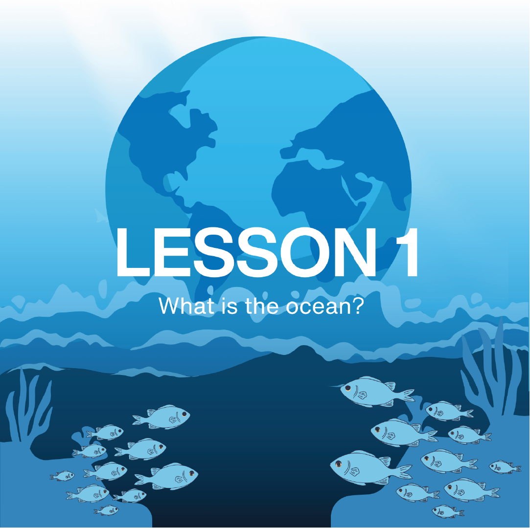 Educational graphic about the ocean with fish and coral, labeled 'LESSON 1'. NAUTRA - BE THE WAVE Educational Platform.