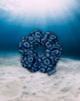 A navy blue scrunchie with a eagle ray  pattern, resting on a sandy ocean floor under clear blue water with sunbeams filtering down from the surface. A small tag on the scrunchie reads NAUTIA.