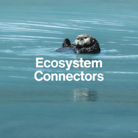 Otter swimming in water with 'Ecosystem Connectors' text overlay