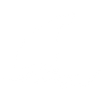 white shark fin icon