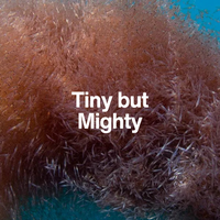 Close-up of a textured brown surface with 'Tiny but Mighty' text overlay.