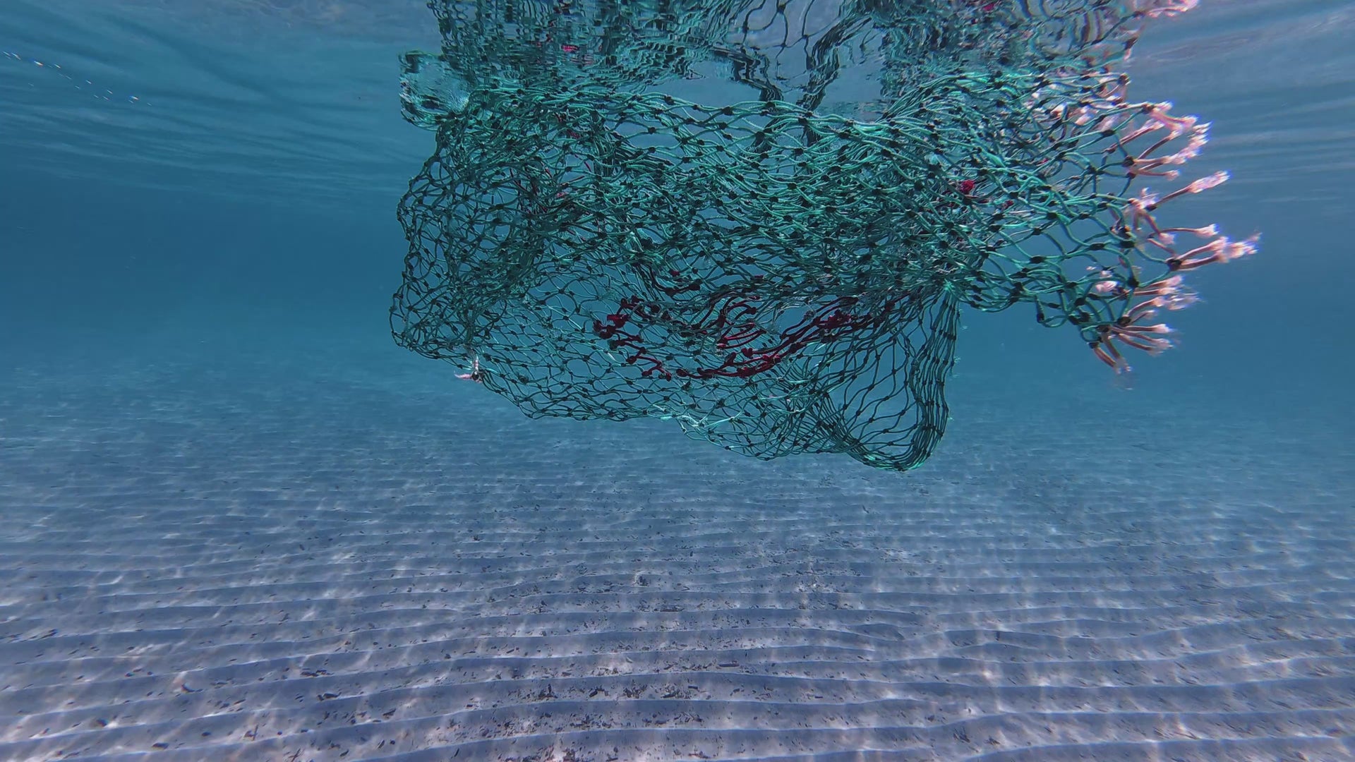 Underwater video of fishing nets floating in the sea.