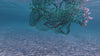 Underwater video of fishing nets floating in the sea.