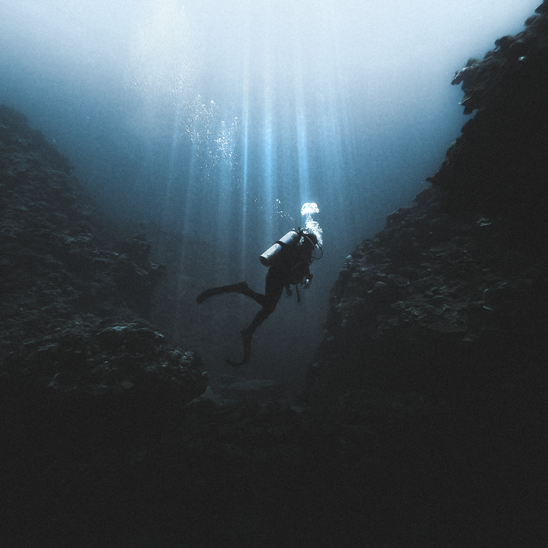 Scuba diver underwater. Biologist researching.